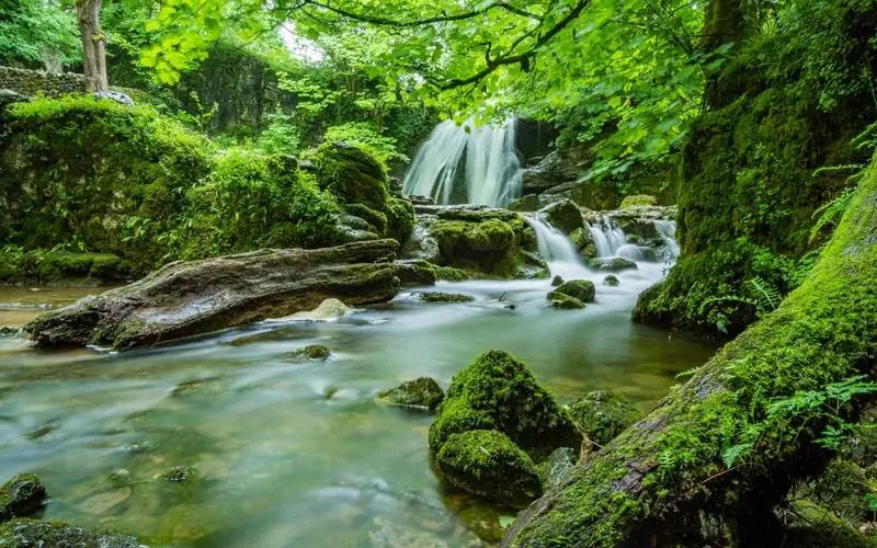 智能可靠性高性能